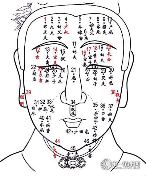 身上女人身上痣|全身痣相图解